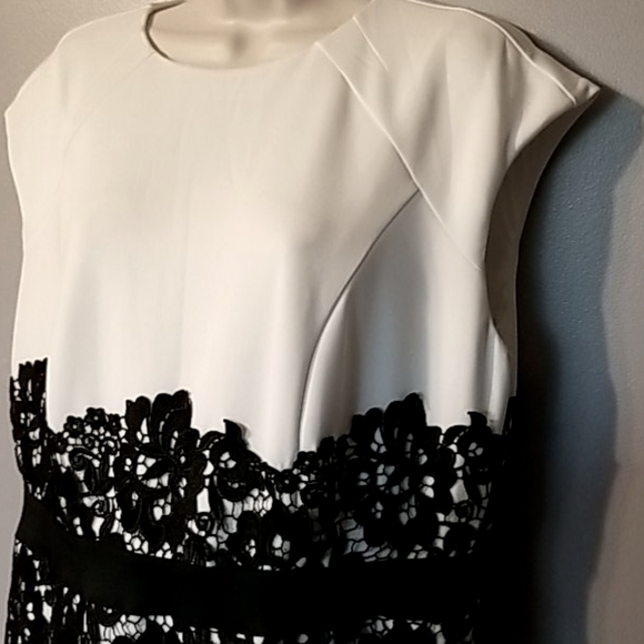 <NEW YORK & COMPANY> White Lined Sheath Dress - Picture 5 of 16